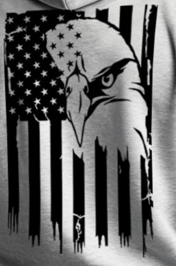 USA- Eagle Flag