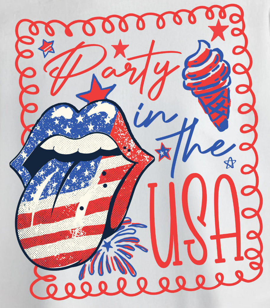 USA- Party in the USA
