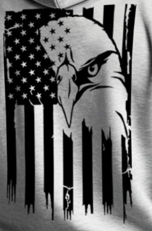 USA- Eagle Flag